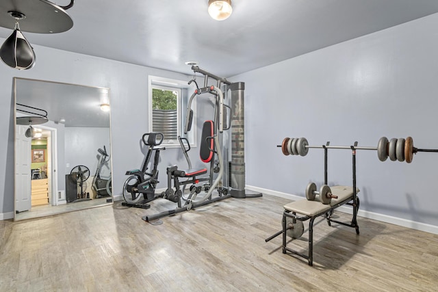 4480 253rd Ave NW, Isanti, MN 55040 - exercise room featuring wood finished floors and baseboards