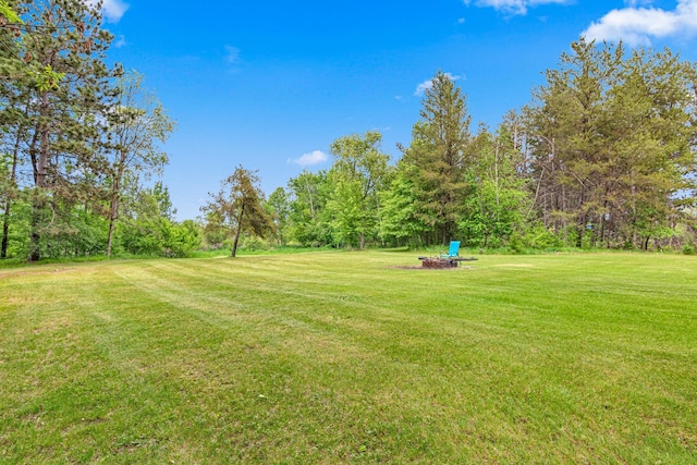 4480 253rd Ave NW, Isanti, MN 55040 - view of grassy yard