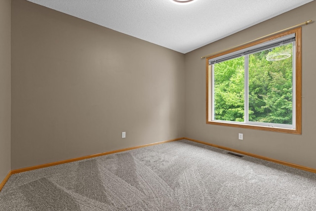 18358 Jenkins St NE, East Bethel, MN 55011 - spare room featuring baseboards, carpet, and a textured ceiling