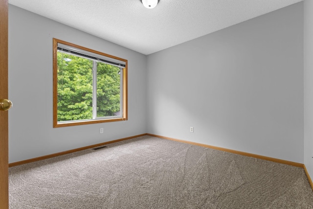 18358 Jenkins St NE, East Bethel, MN 55011 - spare room featuring carpet flooring, baseboards, and a textured ceiling