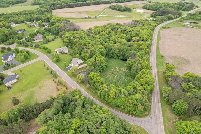 18358 Jenkins St NE, East Bethel, MN 55011 - overview of rural landscape with a tree filled landscape