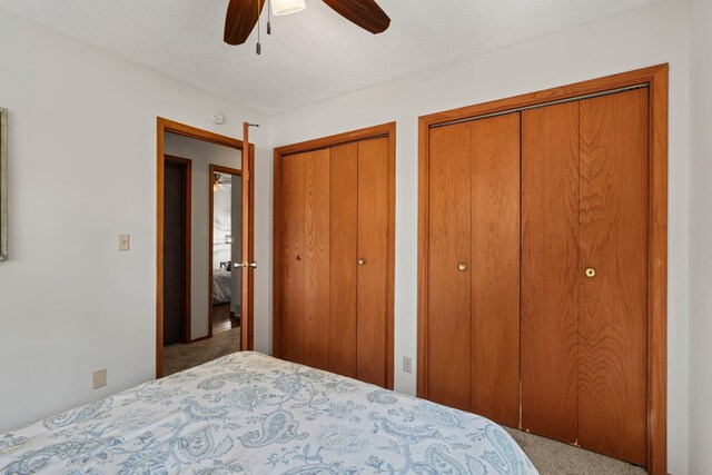 8170 113th St S, Cottage Grove, MN 55016 - bedroom with carpet floors, multiple closets, and ceiling fan