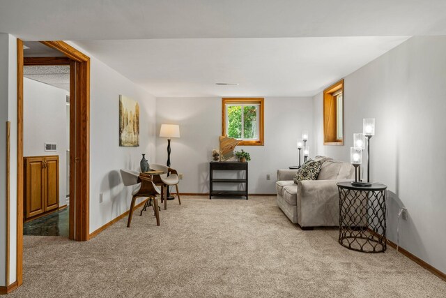 8170 113th St S, Cottage Grove, MN 55016 - living area featuring carpet and baseboards