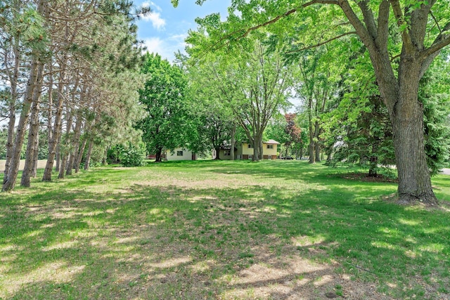 8170 113th St S, Cottage Grove, MN 55016 - view of grassy yard
