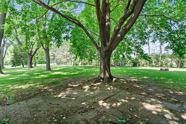8170 113th St S, Cottage Grove, MN 55016 - view of green lawn featuring view of wooded area