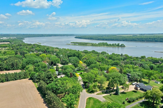 8170 113th St S, Cottage Grove, MN 55016 - bird's eye view of a nearby body of water and a forest