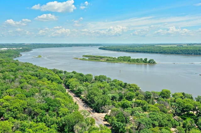8170 113th St S, Cottage Grove, MN 55016 - bird's eye view of a nearby body of water and a forest
