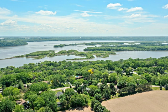 8170 113th St S, Cottage Grove, MN 55016 - bird's eye view of a nearby body of water