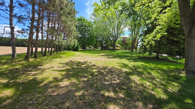 8170 113th St S, Cottage Grove, MN 55016 - view of green lawn
