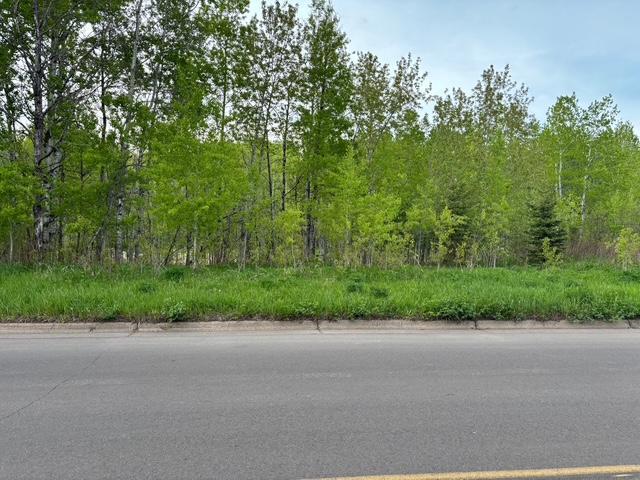 XX Myrtle St, Duluth, MN 55811