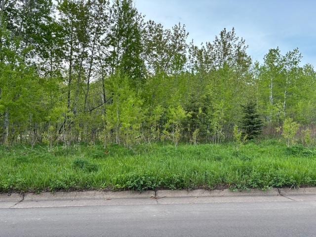 XX Myrtle St, Duluth, MN 55811