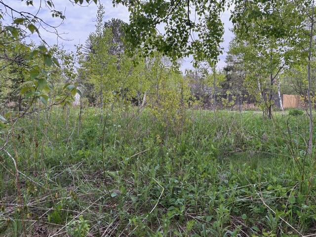 XX Myrtle St, Duluth, MN 55811