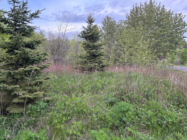 XX Myrtle St, Duluth, MN 55811