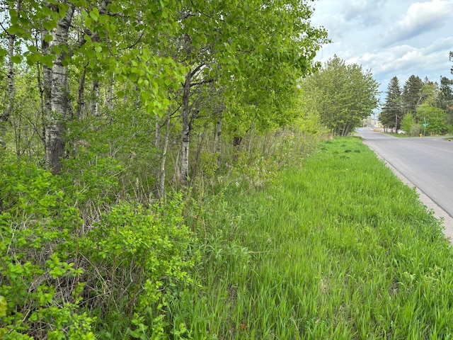 XX Myrtle St, Duluth, MN 55811