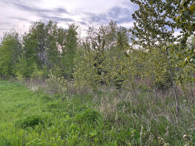 XX Myrtle St, Duluth, MN 55811
