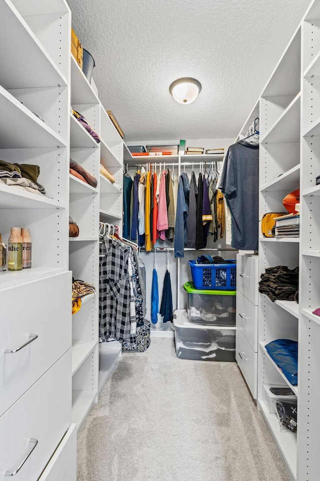 7137 61st St S, Cottage Grove, MN 55016 - walk in closet with carpet floors