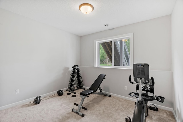 7137 61st St S, Cottage Grove, MN 55016 - exercise area featuring carpet floors and baseboards
