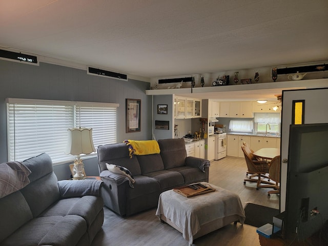 32360 215th Ln Lot A1, Isle, MN 56342 - living area with light wood-style floors