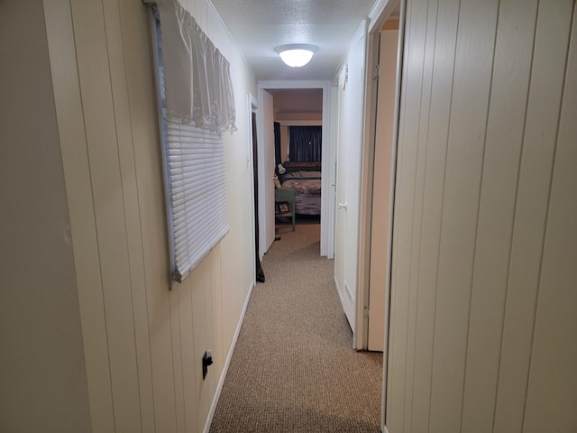 32360 215th Ln Lot A1, Isle, MN 56342 - corridor with light carpet and a textured ceiling