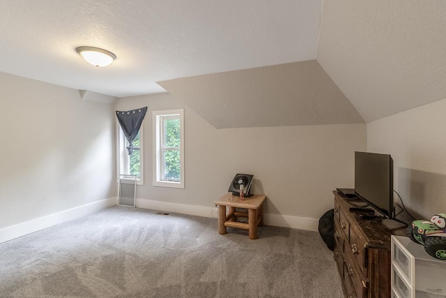 202 Adams St, Arlington, MN 55307 - additional living space featuring a textured ceiling, baseboards, carpet floors, and vaulted ceiling