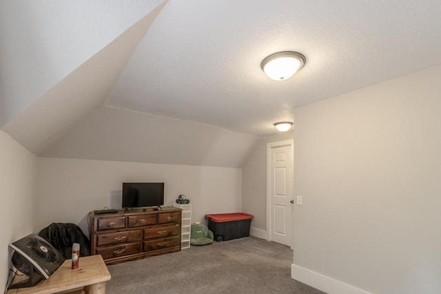 202 Adams St, Arlington, MN 55307 - additional living space with carpet, vaulted ceiling, and baseboards