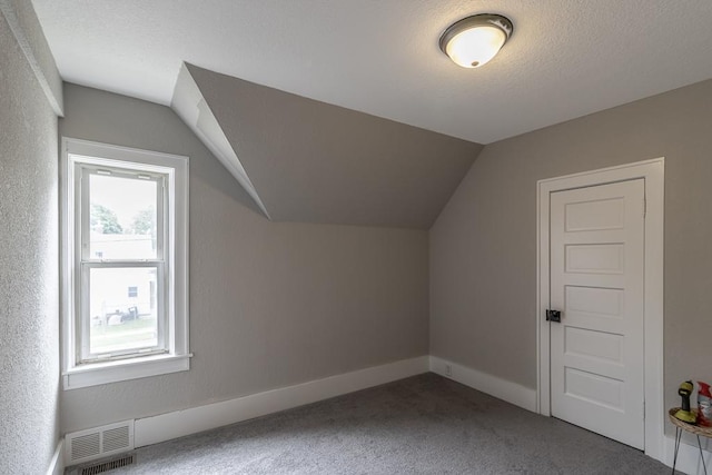 202 Adams St, Arlington, MN 55307 - bonus room with lofted ceiling, carpet, and baseboards