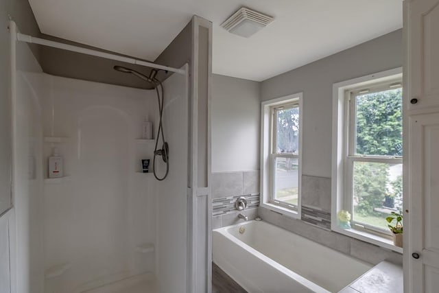 202 Adams St, Arlington, MN 55307 - full bathroom featuring a garden tub and a stall shower