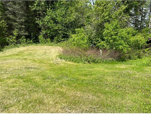 42943 County Road 336, Balsam Twp, MN 55709 - photo 9