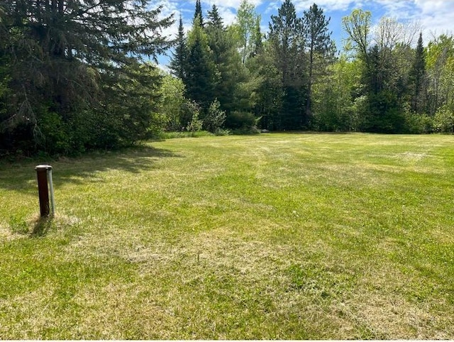 42943 County Road 336, Balsam Twp, MN 55709 - photo 10