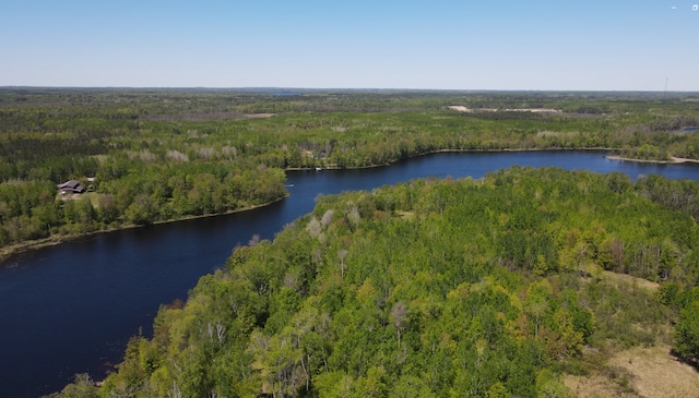 LOT2 Hason Lake Rd, Lawrence Twp, MN 55744