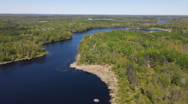 LOT2 Hason Lake Rd, Lawrence Twp, MN 55744