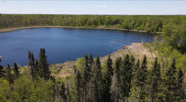 LOT2 Hason Lake Rd, Lawrence Twp, MN 55744