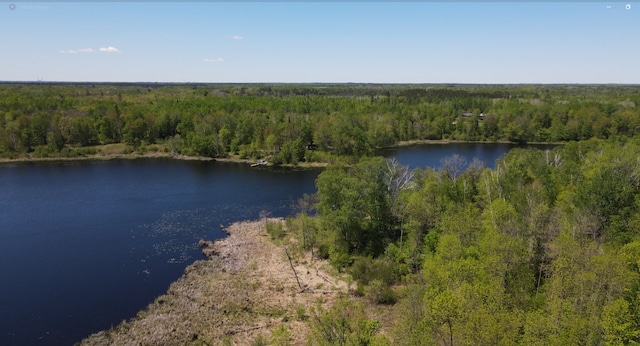 LOT2 Hason Lake Rd, Lawrence Twp, MN 55744