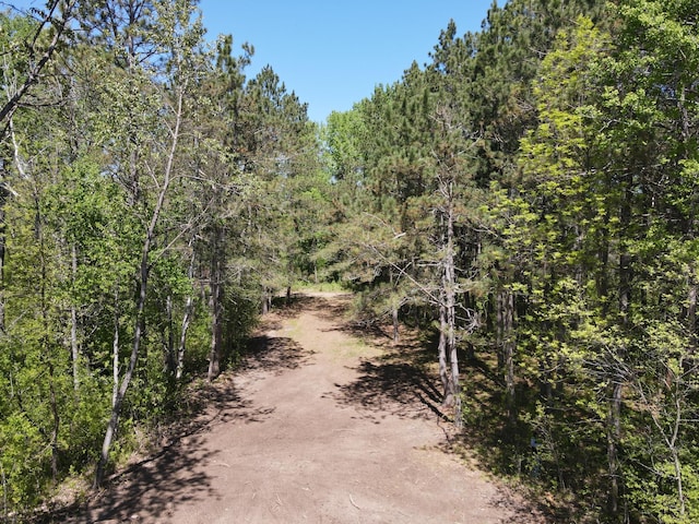 LOT2 Hason Lake Rd, Lawrence Twp, MN 55744