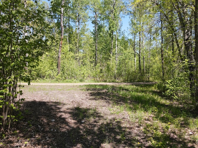 LOT2 Hason Lake Rd, Lawrence Twp, MN 55744