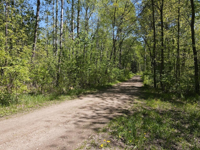 LOT2 Hason Lake Rd, Lawrence Twp, MN 55744