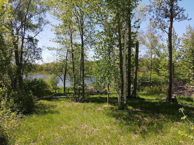 LOT2 Hason Lake Rd, Lawrence Twp, MN 55744