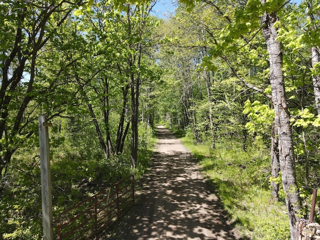 LOT2 Hason Lake Rd, Lawrence Twp, MN 55744