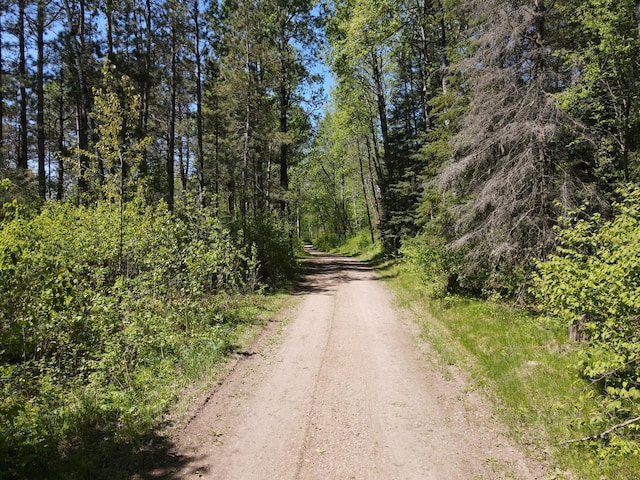 LOT2 Hason Lake Rd, Lawrence Twp, MN 55744
