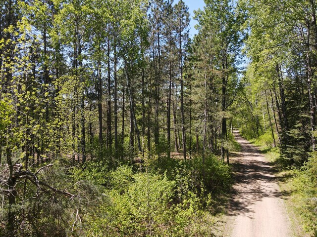 LOT2 Hason Lake Rd, Lawrence Twp, MN 55744