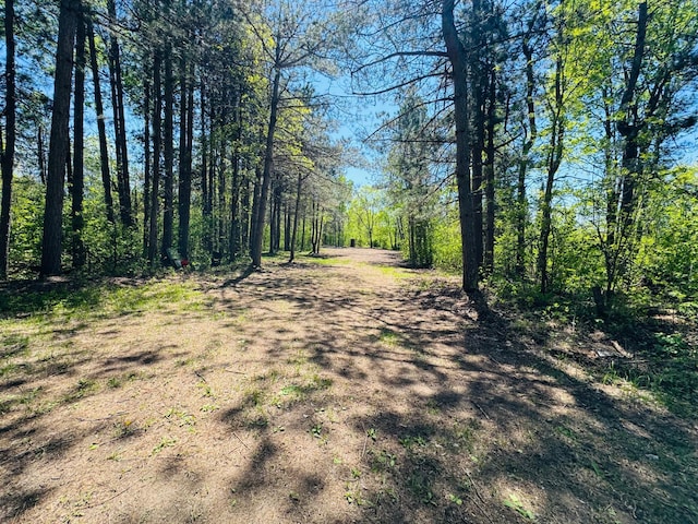LOT2 Hason Lake Rd, Lawrence Twp, MN 55744