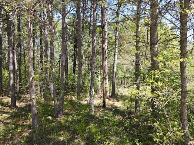 LOT2 Hason Lake Rd, Lawrence Twp, MN 55744