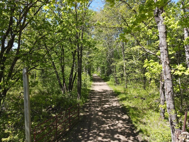 LOT2 Hason Lake Rd, Lawrence Twp, MN 55744