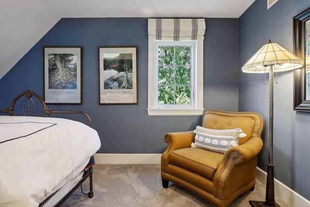 14 Forest Dale Rd, Minneapolis, MN 55410 - bedroom with carpet floors, lofted ceiling, and baseboards