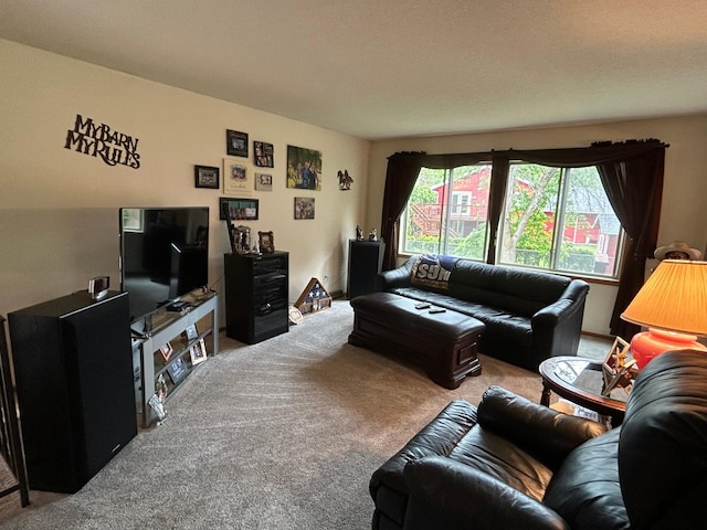3476 116th Ln NW, Coon Rapids, MN 55433 - living room with carpet flooring