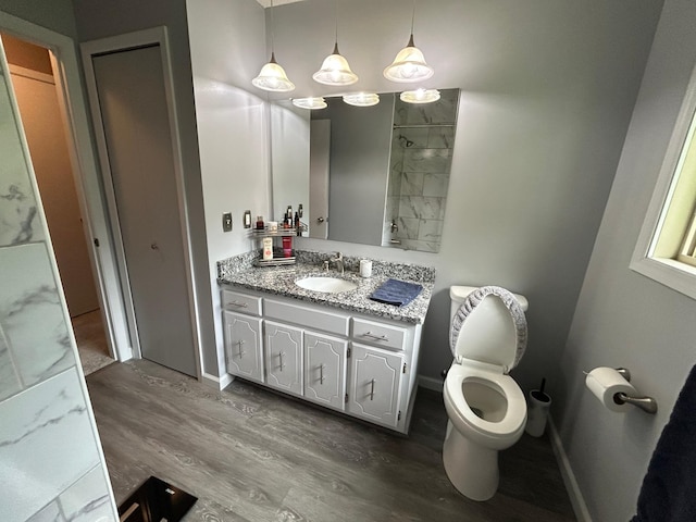 3476 116th Ln NW, Coon Rapids, MN 55433 - bathroom featuring wood finished floors, vanity, and toilet