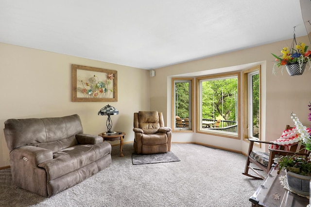 843 Northdale Blvd NW, Coon Rapids, MN 55448 - carpeted living room with baseboards