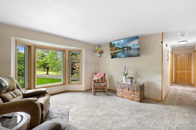 843 Northdale Blvd NW, Coon Rapids, MN 55448 - carpeted living area with baseboards