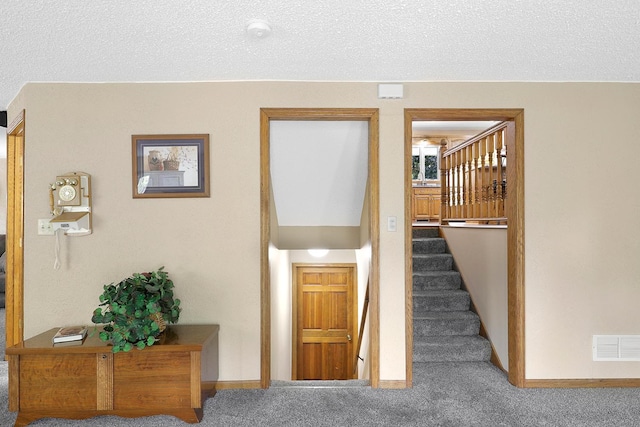 843 Northdale Blvd NW, Coon Rapids, MN 55448 - stairs featuring carpet flooring, a textured ceiling, and baseboards