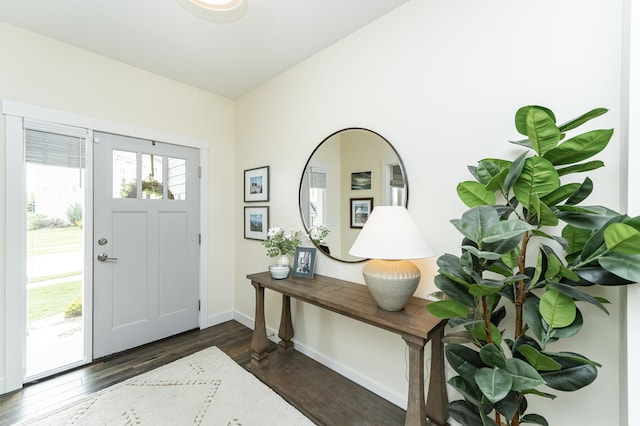 927 Southwell Enclave NE, Byron, MN 55920 - entryway featuring dark wood-style floors and baseboards